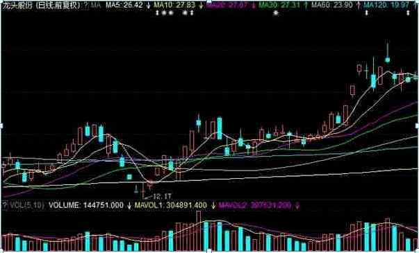 龙头股份重组最新动态，深度解析及前景展望