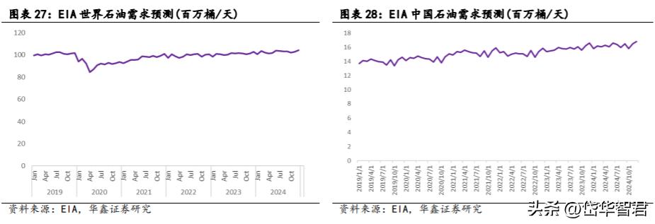 华锦股份最新消息全面解读与分析