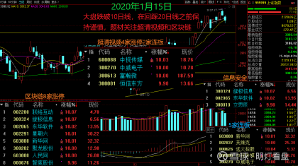 新华网股票最新动态，市场走势分析与前景展望