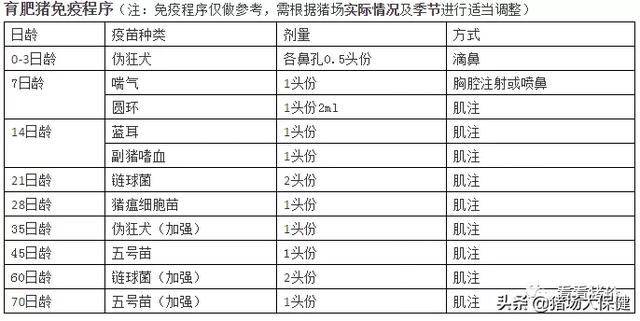 猪免疫程序表最新更新及其重要性解析