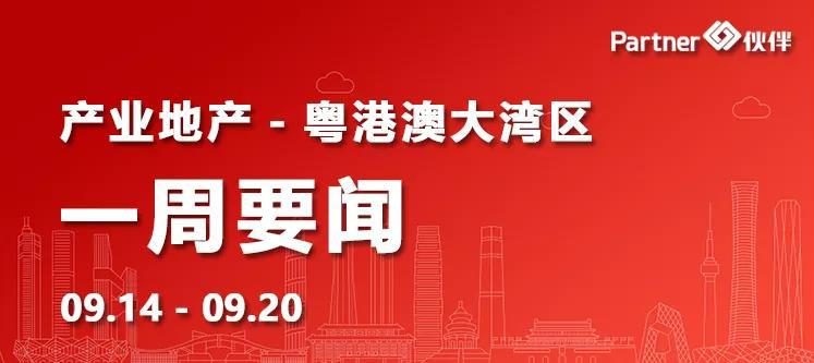 地产新闻最新动态，行业趋势与市场深度解析