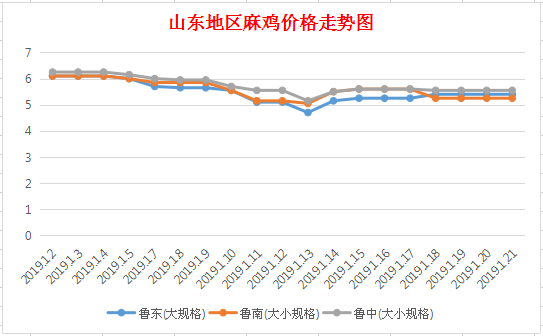 山东麻鸡最新价格动态分析与未来展望