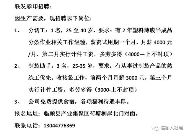 鸡泽最新招聘动态及其地区影响分析