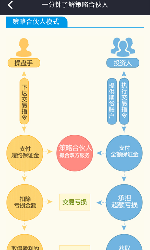 战略网下载，深入探索与解析