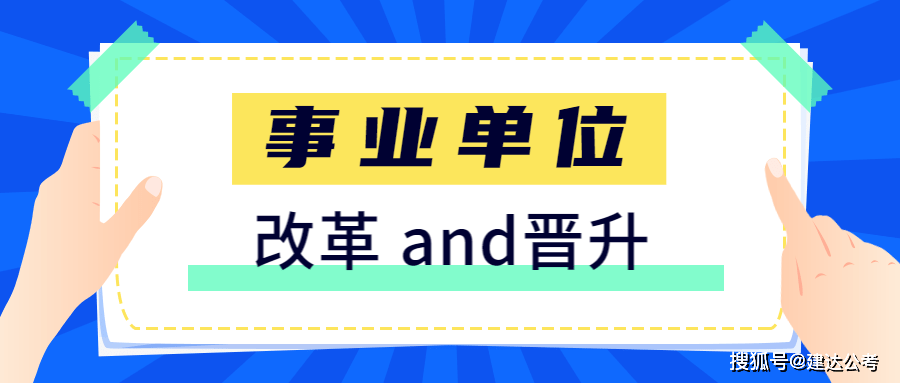 新奥天天免费资料大全,高效策略设计_uShop99.230