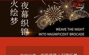 夜绣下载，数字时代的文化新风潮探索