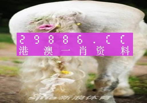 澳门一肖一码一l必开一肖,实地调研解释定义_AR版44.673