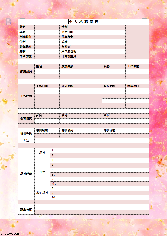 大学生职业生涯启航，空白简历下载助力求职之路