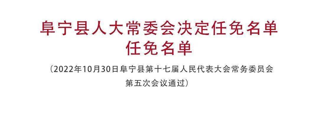 得不村最新人事任命动态，未来展望与影响