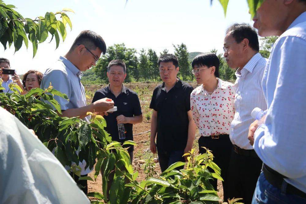 果树示范场新领导引领下的变革与发展概览