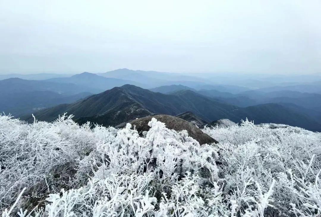 官山镇新领导团队引领未来，共筑发展新篇章