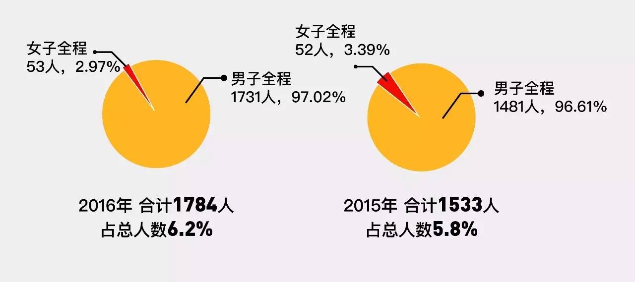 今晚特马开27号,实地验证数据设计_轻量版40.135