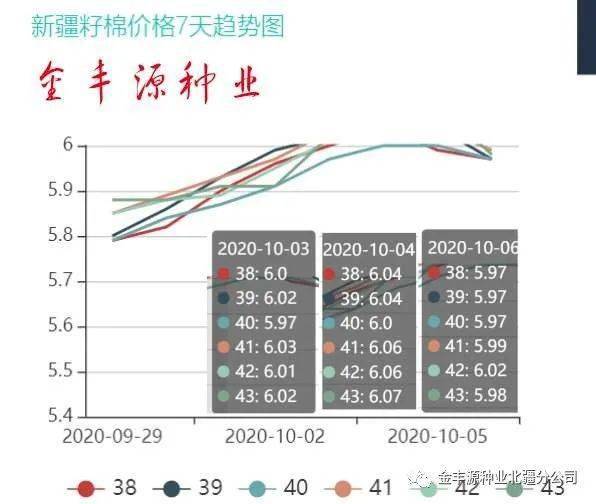 棉籽最新价格动态解析