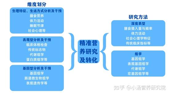 新澳精准免费提供,系统研究解释定义_潮流版81.321