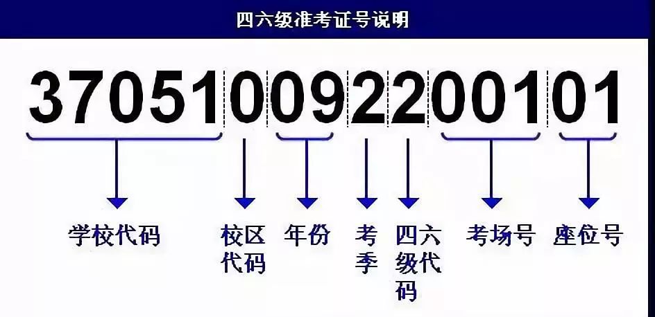 四不像今晚必中一肖,快速计划设计解答_理财版64.344