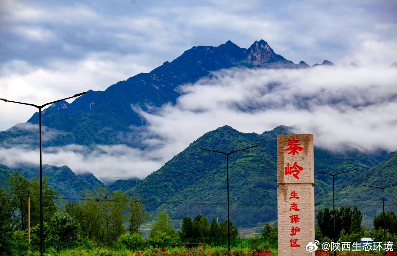 秦岭最新动态，生态保护和旅游发展协同推进