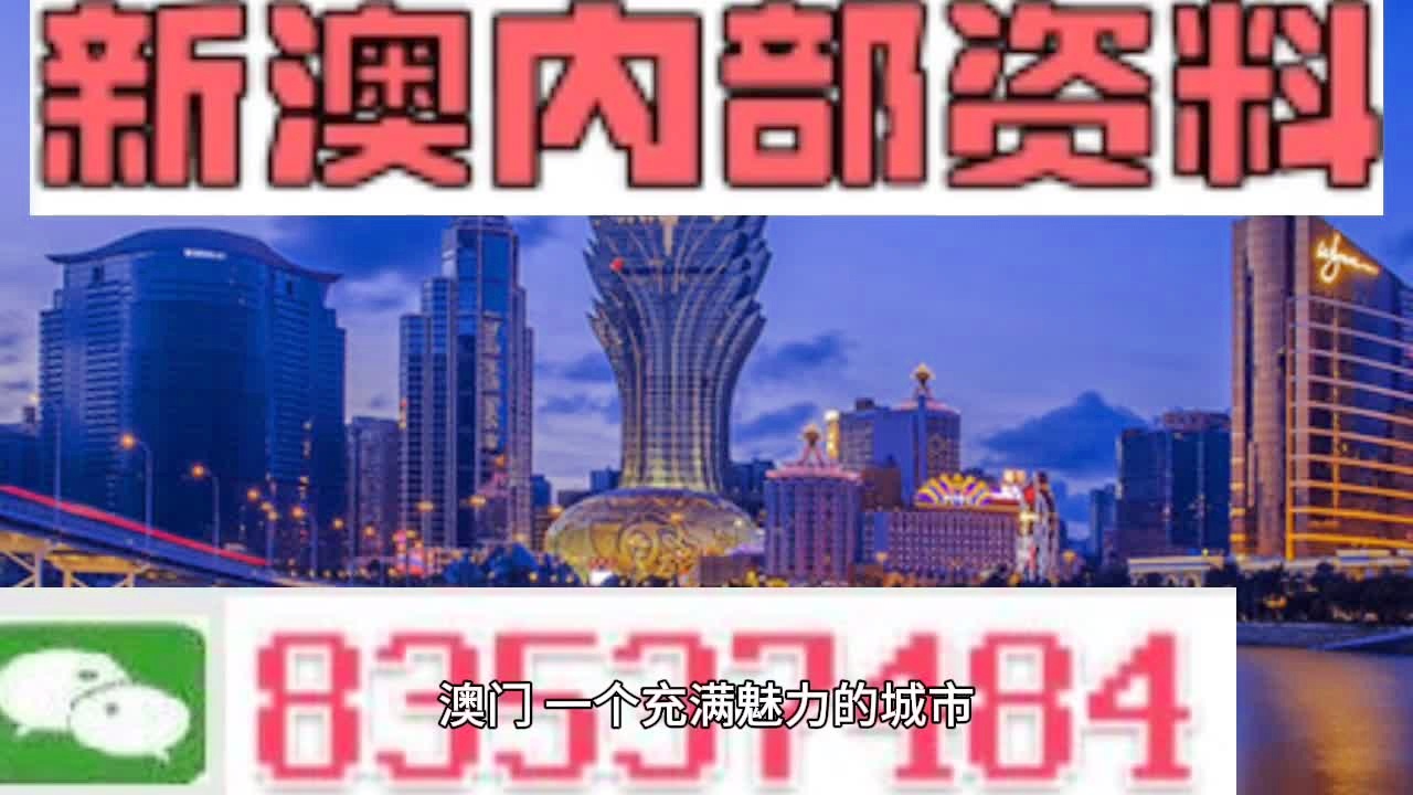 新澳门免费精准大全,快速设计响应解析_X45.963