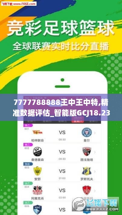 7777788888王中王中王特色功能,全局性策略实施协调_Mixed50.362