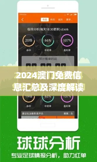 2024年澳门正版免费,实践调查解析说明_手游版38.454