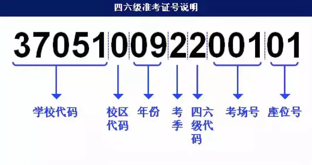 澳门三肖三码必中一一期,快速解答方案解析_Holo29.207