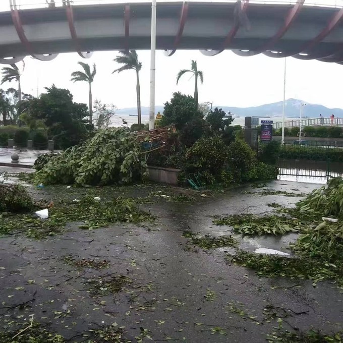 厦门台风最新动态，风雨中的守护与应对挑战