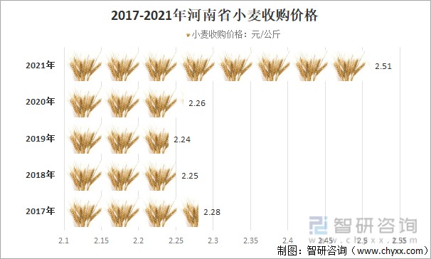 今日小麦价格最新行情概览