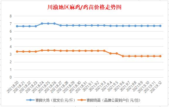 最新麻鸡价格走势与市场分析报告