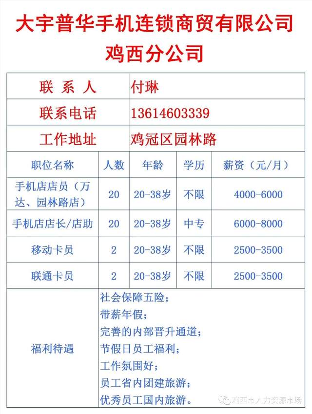 鸡西招聘网最新招聘动态深度解读与分析