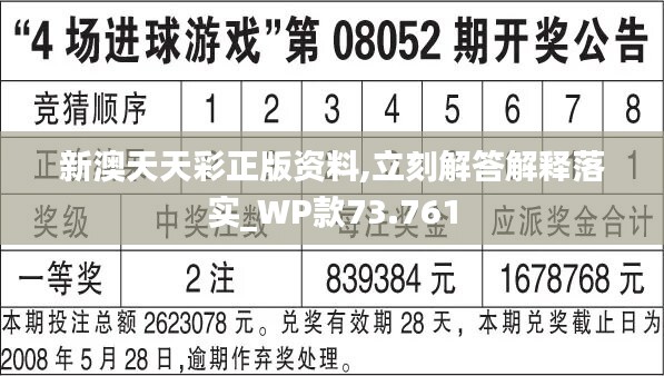 新澳天天彩正版免费资料观看,重要性解释落实方法_Prime33.323