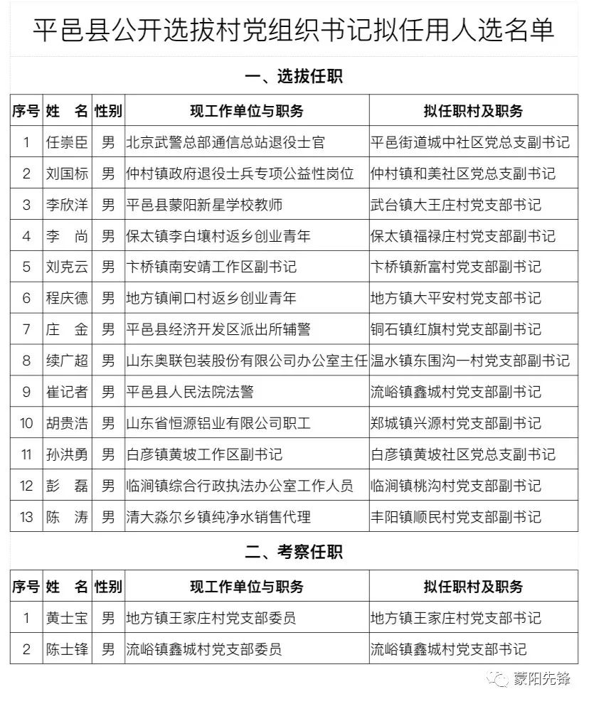 平定村委会人事任命揭晓，开启村级治理新篇章