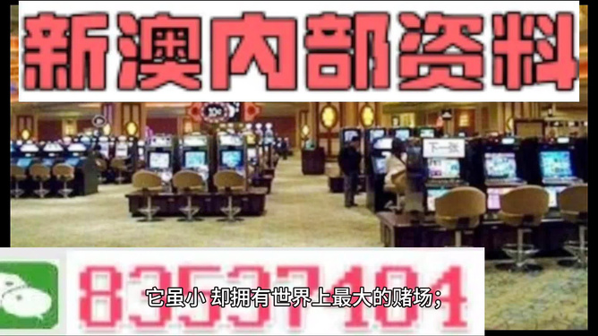 2024新澳精准正版资料,时代资料解释落实_HD17.391