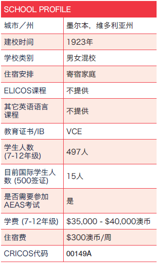 新澳2024今晚开奖结果,迅速解答问题_精英款34.994