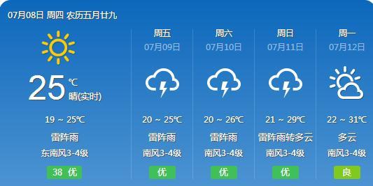 2024年12月12日 第12页