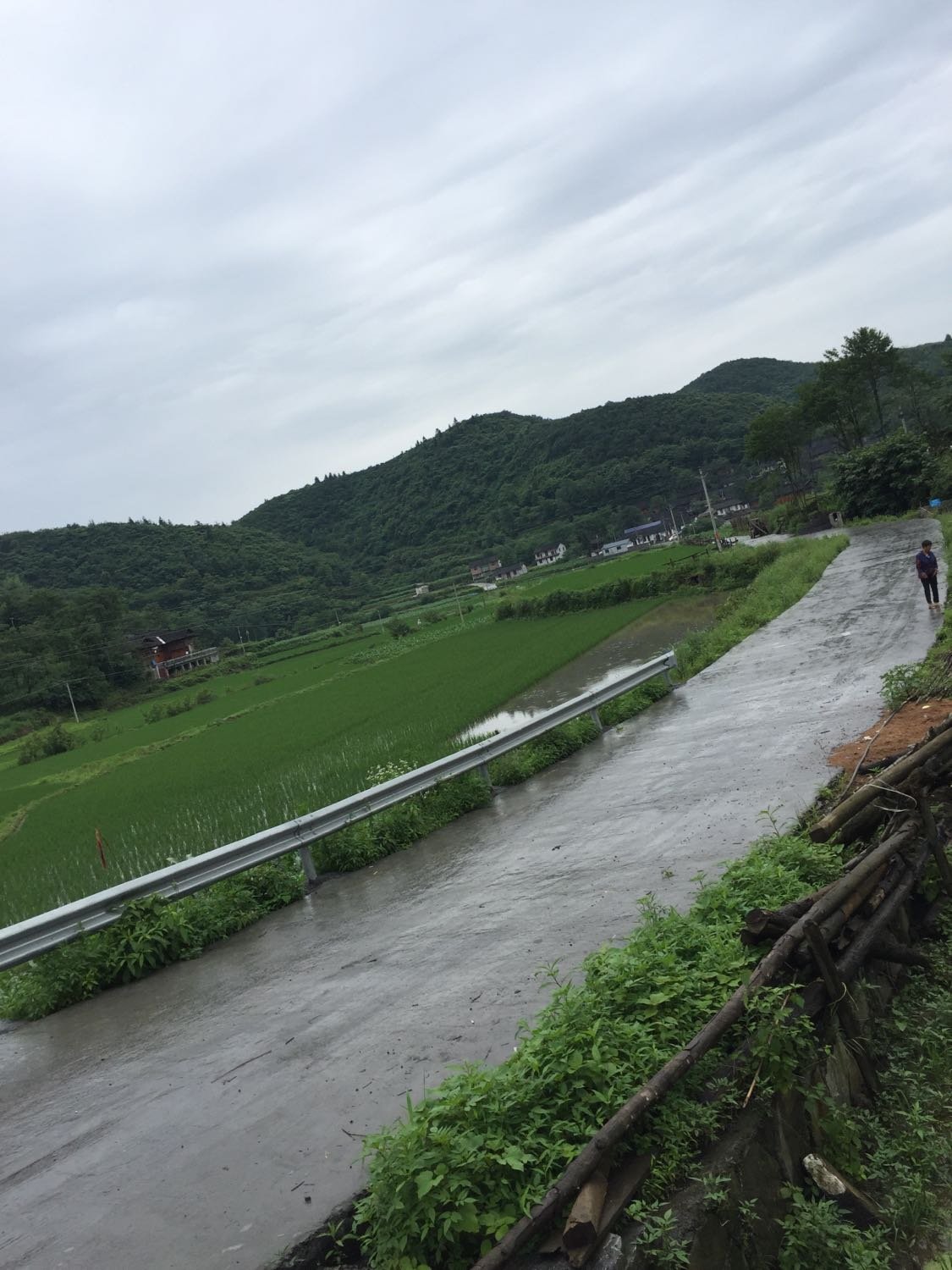 田坪镇天气预报更新通知