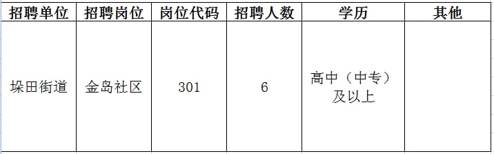 大同区初中最新招聘信息详解与相关内容探讨