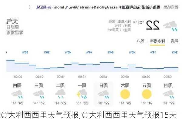 2024年12月17日 第22页