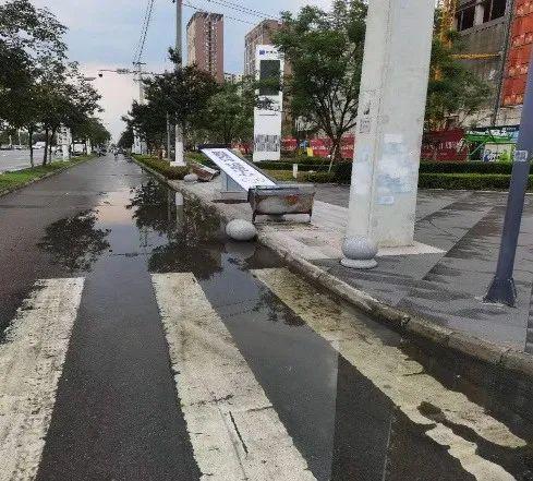 天府街道最新天气预报概览