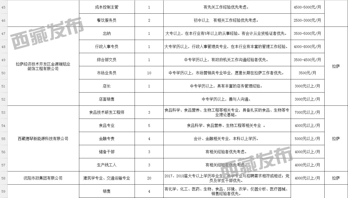 仲巴县数据和政务服务局招聘公告解析