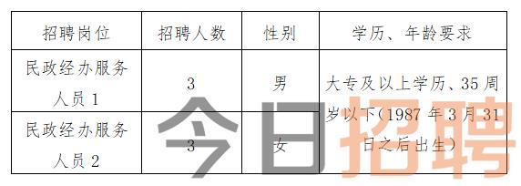 揭东县民政局最新招聘信息全面解析