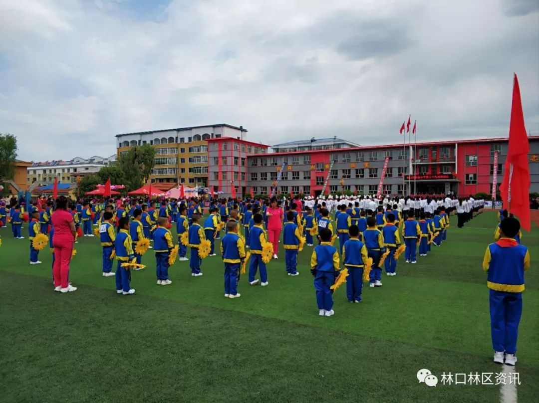 林口县小学最新动态报道