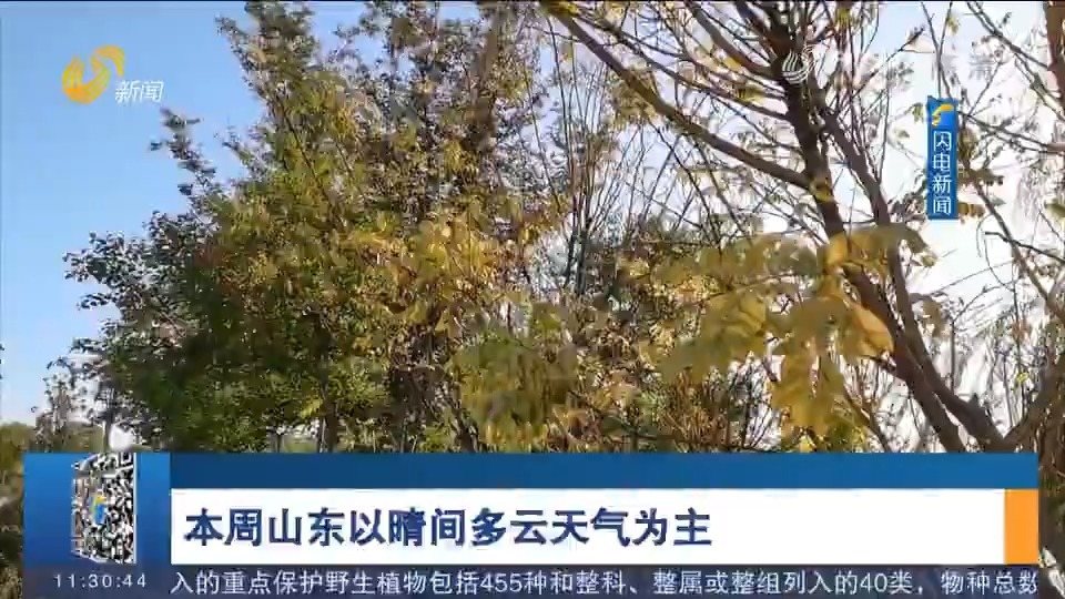 爱林林场天气预报更新通知