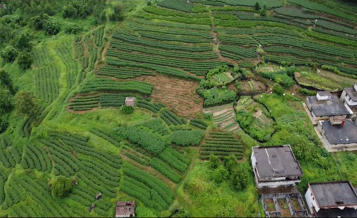 祁沟村民委员会天气预报更新通知