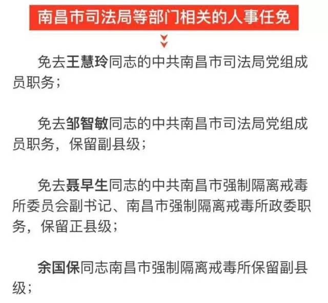 徐汇区科技局人事任命动态解读