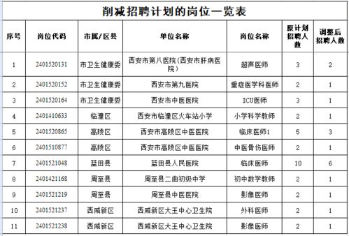 叙永县级托养福利事业单位发展规划展望