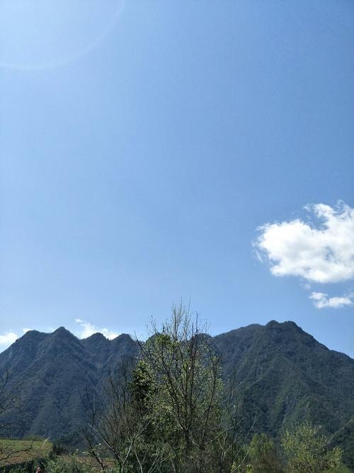 五峰农场天气预报更新通知