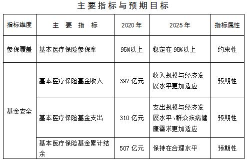 乐安县医疗保障局未来发展规划展望