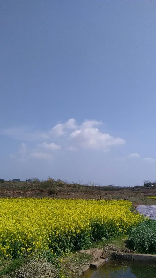 康沙镇天气预报更新通知