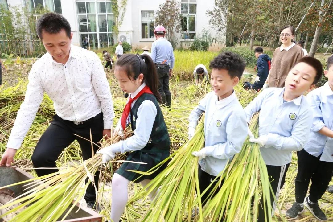 椒江区小学未来发展规划概览